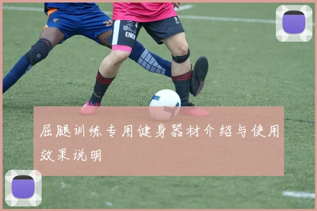 屈腿训练专用健身器材介绍与使用效果说明