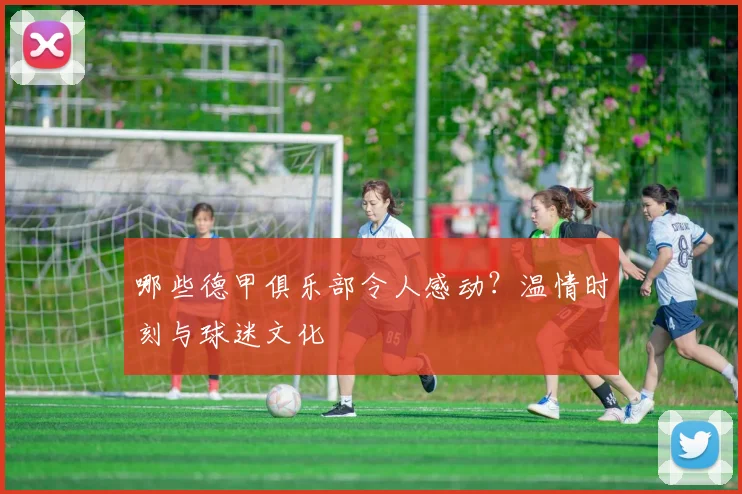 哪些德甲俱乐部令人感动?温情时刻与球迷文化