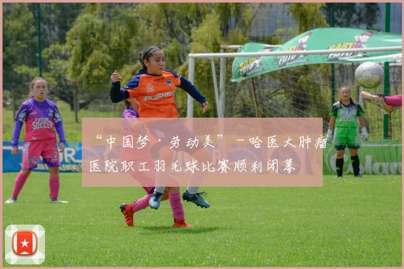 “中国梦·劳动美” - 哈医大肿瘤医院职工羽毛球比赛顺利闭幕