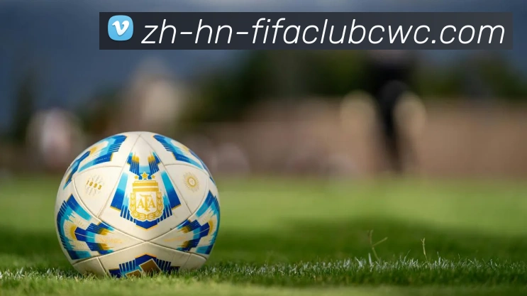 世界杯平台服务体系